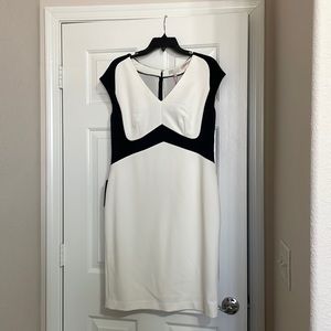 The Limited Scandal Collection Black and Cream Fitted Dress